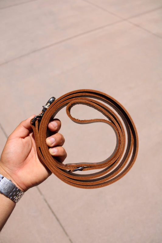 Dog Leash