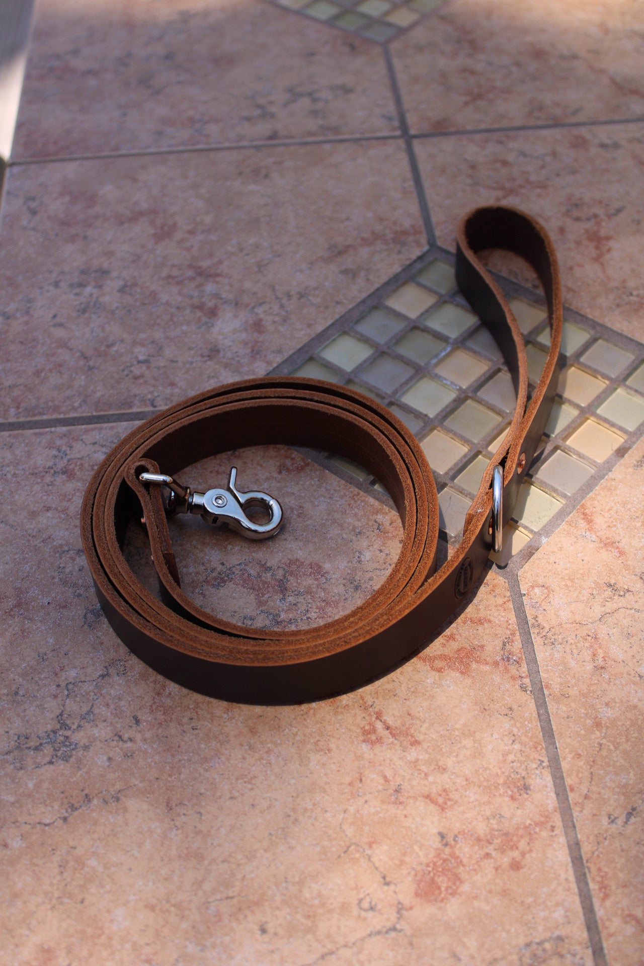 Dog Leash